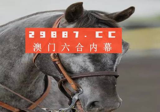 澳门一肖一码一特一中挂，专家意见解释定义|最佳精选