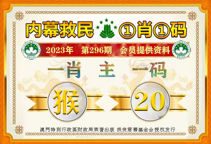 澳门一肖一码100%期期精准/98期，全面释义、解释与落实