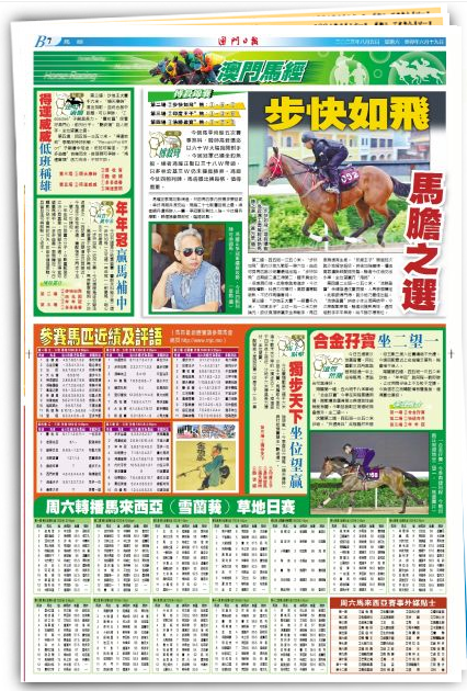 2024澳门特马今晚开奖亿彩网，全面释义、解释与落实