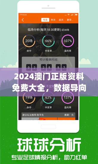 2025澳门正版免费资料，全面释义、解释与落实