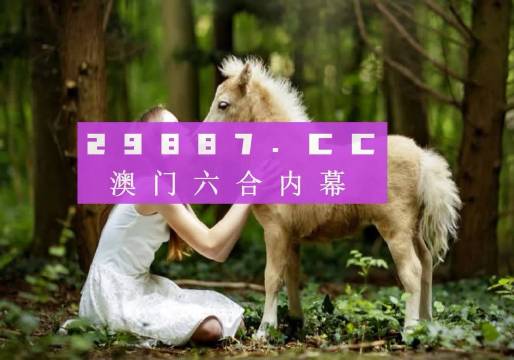 4949开奖免费资料澳门，全面释义、解释与落实