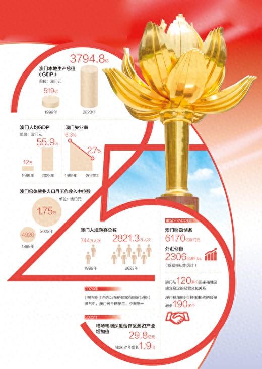 2025年新澳门天天开奖免费查询，深度解答解释落实