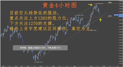 最准一码一肖100%凤凰网，深度解答解释落实