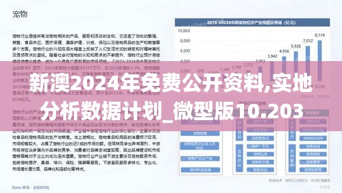 2025新奥最精准免费大全，深度解答解释落实