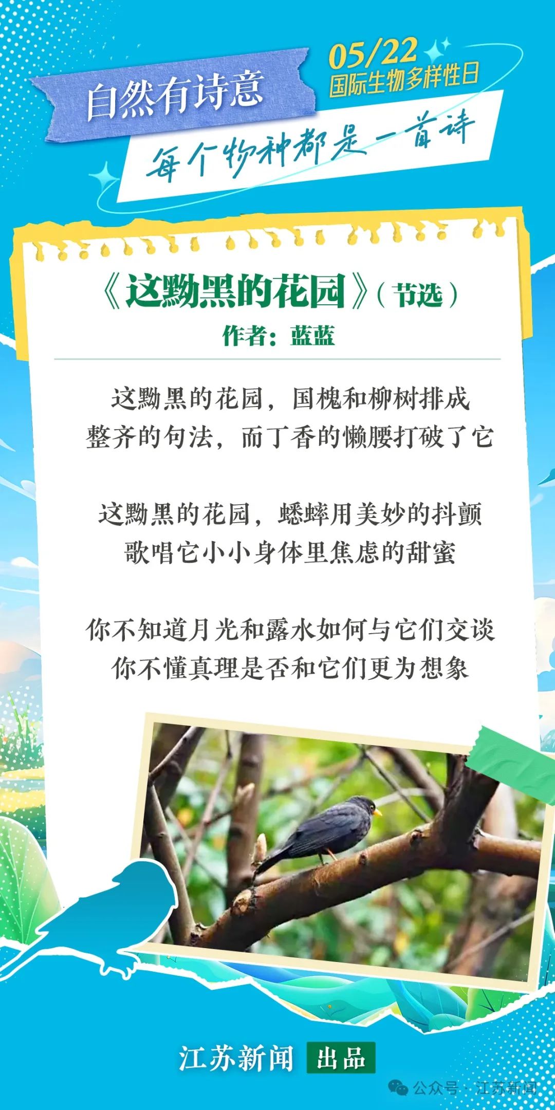 白小姐449999精准一句诗，深度解答解释落实