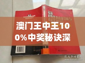 澳门王中王100%期期中，深度解答解释落实