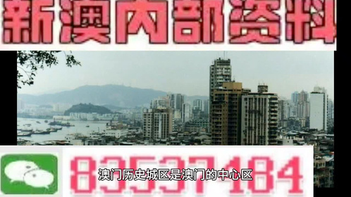 新澳门全年免费料精准，深度解答解释落实