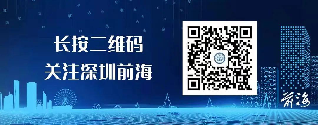 一肖一码一一肖一子深圳，深度解答解释落实
