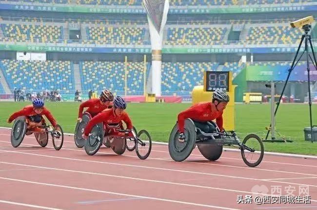 2025新澳门天天免费精准，-精选解析解释落实