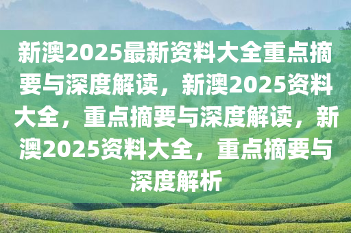 新澳2025年正版资料，全面贯彻解释落实