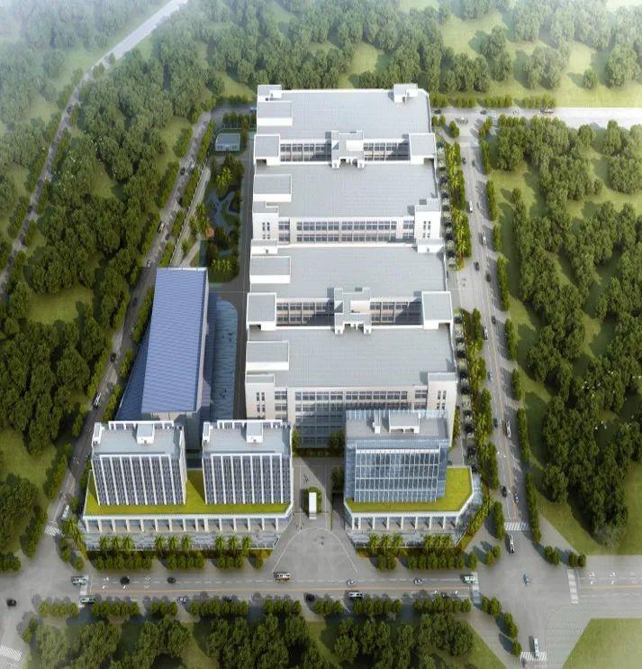 2025精准资料免费大全，全面贯彻解释落实