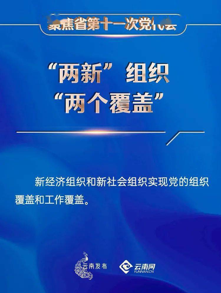 新澳三期必出一肖，全面贯彻解释落实