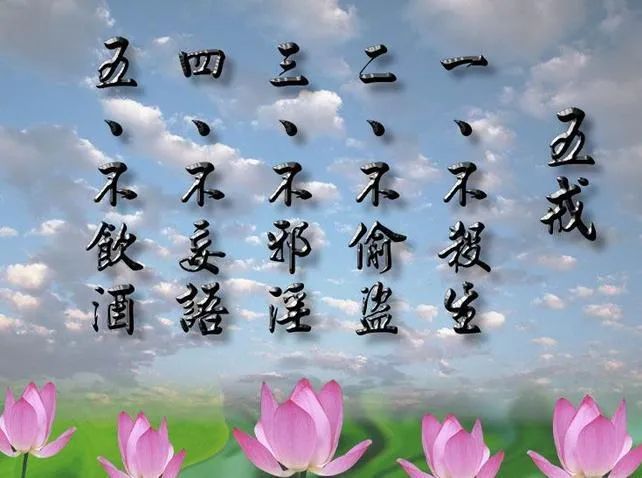新澳门平特一肖中特，词语释义解释落实