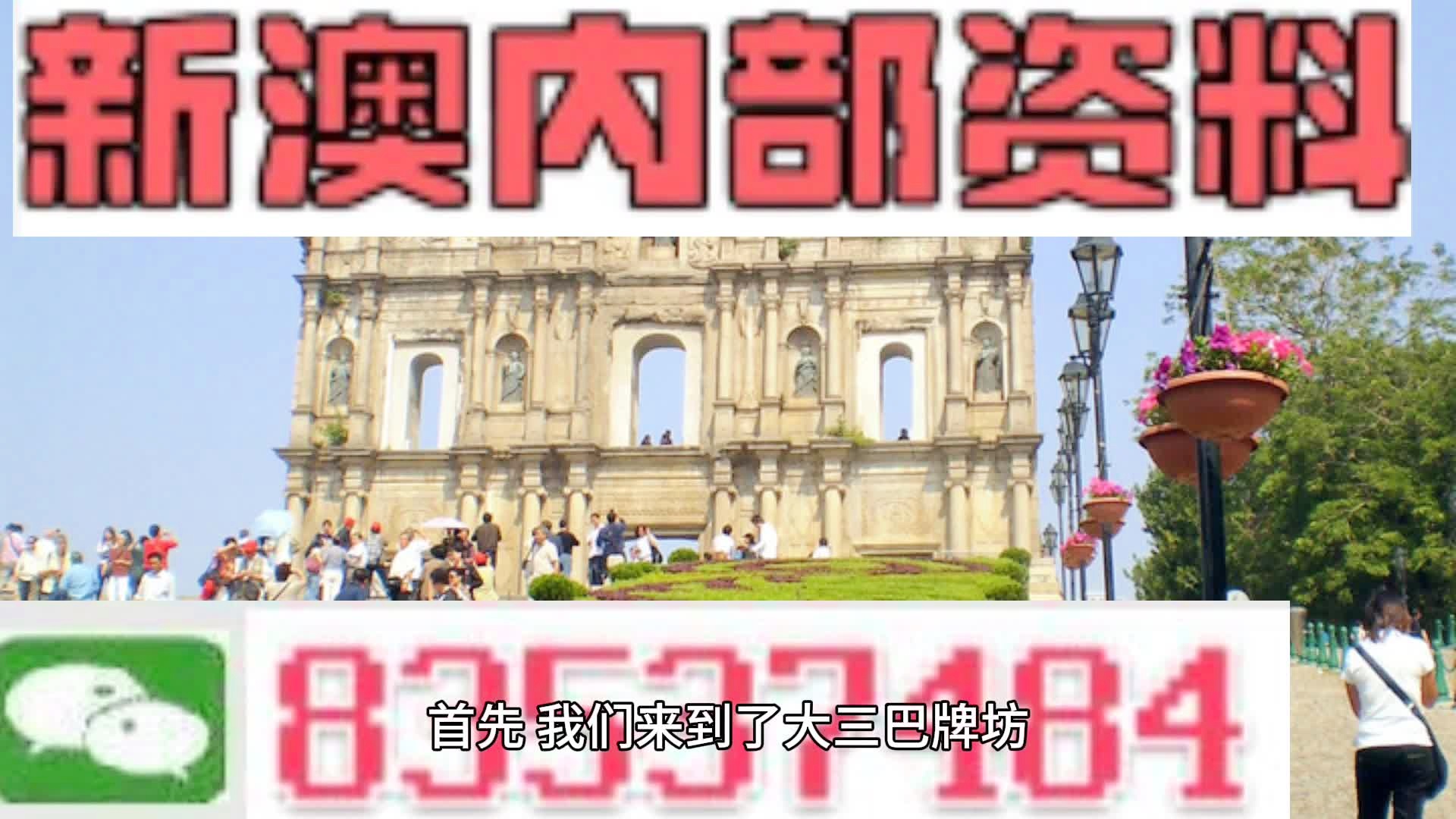新澳门免费精准大全，实用释义解释落实