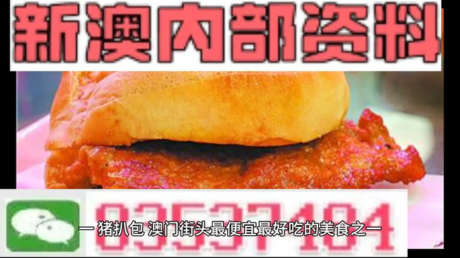 2024新澳精准正版澳门码，精选解析解释落实