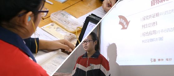 最准一肖一码一孑一特一中，全面释义解释落实