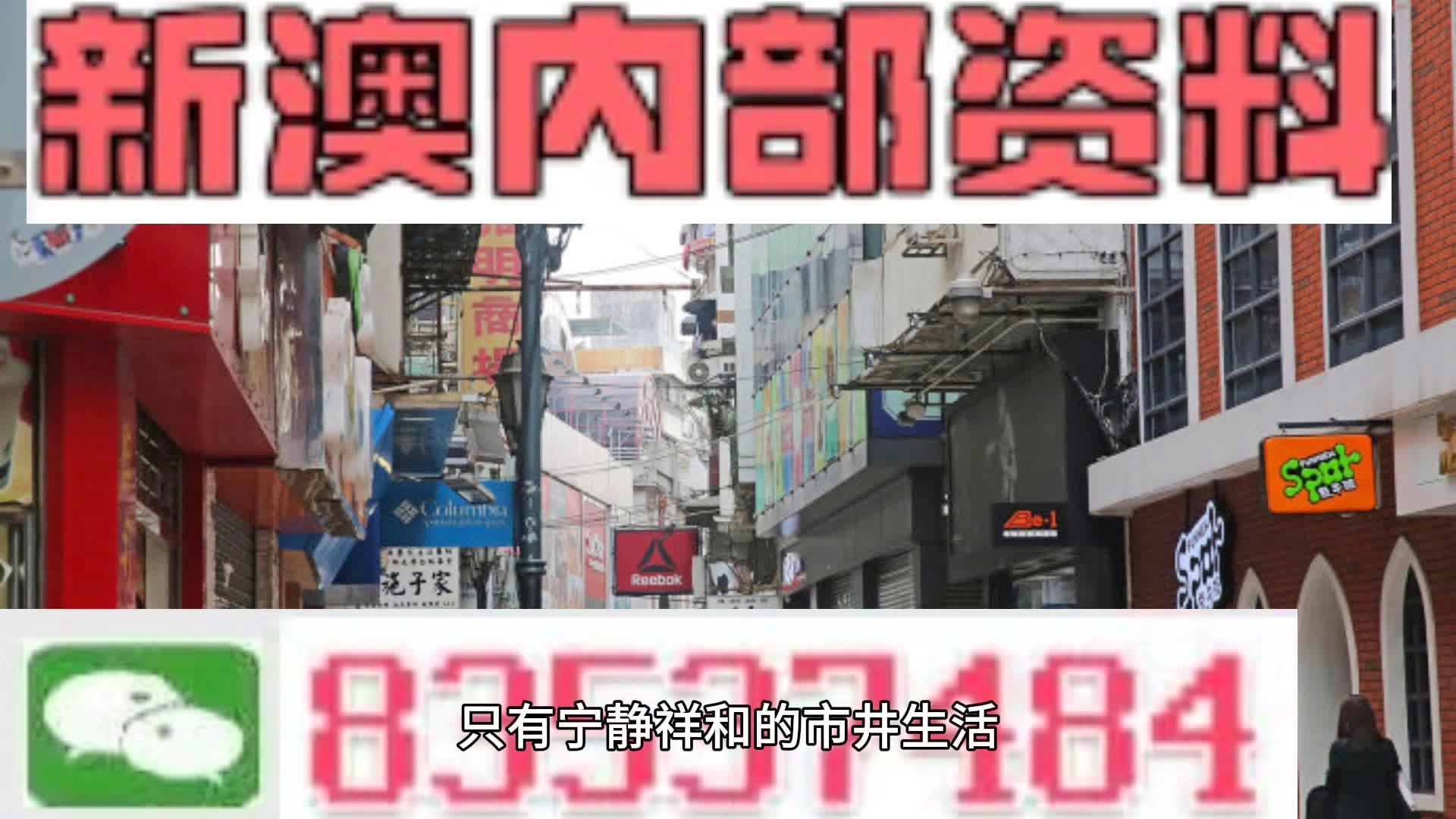新澳门精准4肖期期中特，词语释义解释落实
