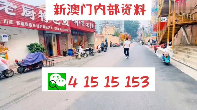 2025年澳门天天开好彩，全面释义解释落实