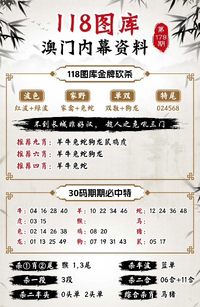 新澳门王中王100期期中,精选解释解析