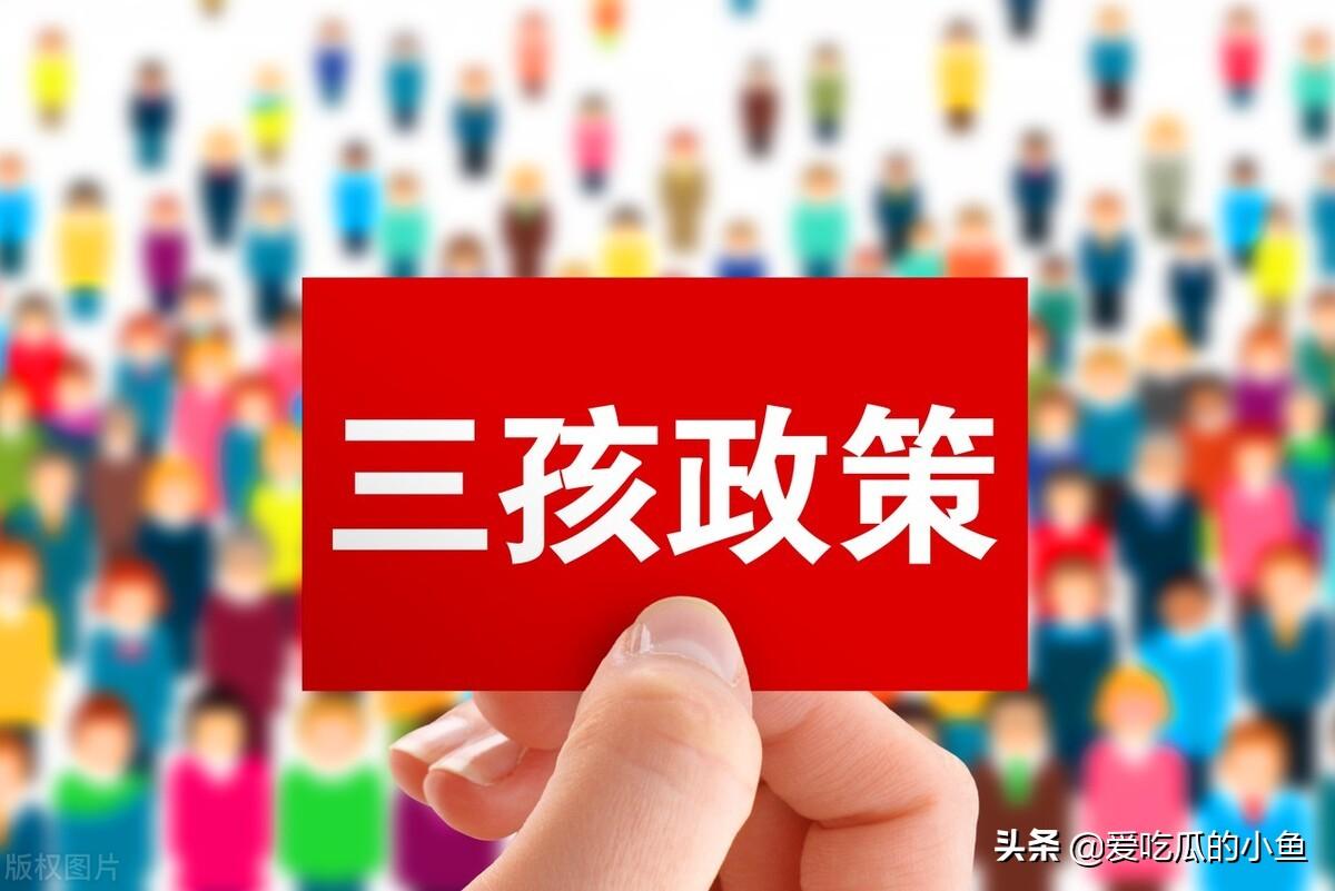 三孩政策最新消息今天